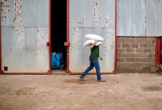 Immigration streams need to be revamped to bring in workers who have the skillset and desire to work in agriculture and food, says a co-chair of an immigration and foreign worker group.