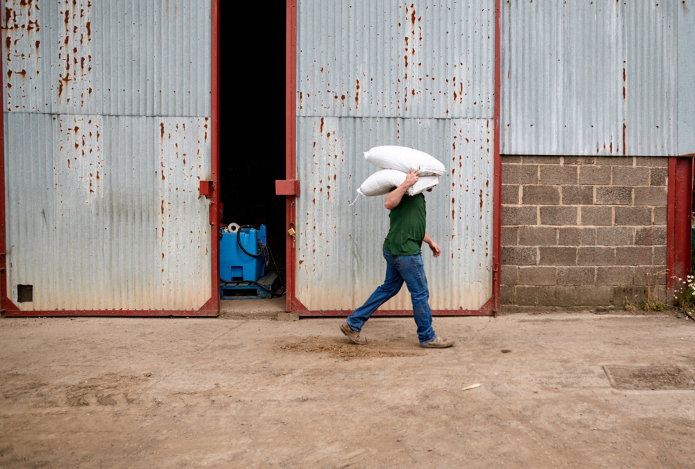 Immigration streams need to be revamped to bring in workers who have the skillset and desire to work in agriculture and food, says a co-chair of an immigration and foreign worker group.