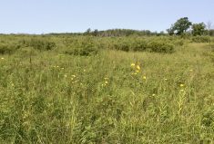 “We wouldn’t be here without them...It’s sort of like we’re paying homage to them.” – Lawrence Knockaert.
