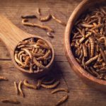 Edible mealworms in a wooden spoon
