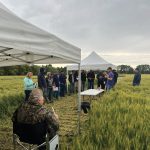 Agronomy research extension manager Jeremy Boychyn discusses the Manipulator trial on the farm of Greg and Jeff Porozni in early August. A treated strip is on the left (behind the attendees) and an untreated one on the right.