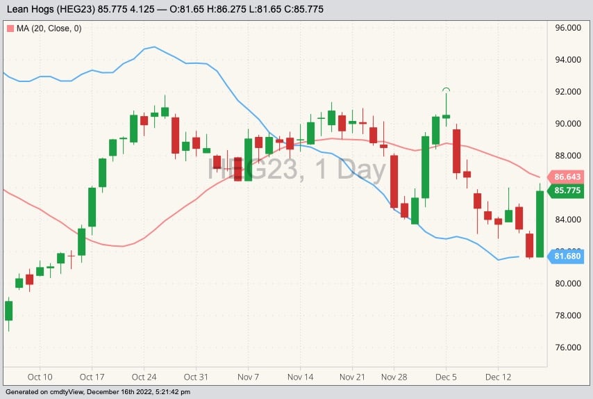 CME February 2023 lean hogs with 20-day moving average (pink line) and CME cash lean hog index (blue line). (Barchart)
