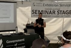 How to keep invasive weeds from making a home on your pasture