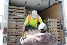 Winnipeg’s Natural Bakery is one of the many corporate donors to Harvest Manitoba.