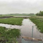 Example of an on-farm water retention project in the SRRWD.