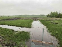 Example of an on-farm water retention project in the SRRWD.