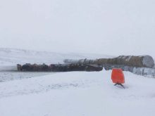 Round bales can provide a windbreak for cattle during extended cold temperatures.