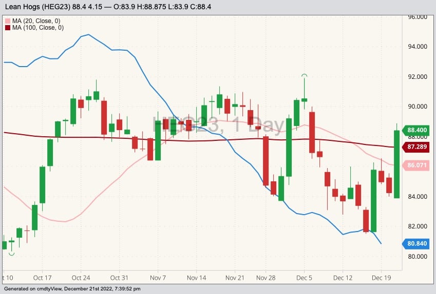 CME February 2023 lean hogs with 20- and 100-day moving averages and CME cash lean hog index (blue line). (Barchart)
