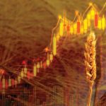 ‘In the long run, commodity grain prices tend to gravitate toward the lowest cost, most efficient group of producers. But in the short and medium terms, a lot can and will happen…’