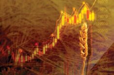 ‘In the long run, commodity grain prices tend to gravitate toward the lowest cost, most efficient group of producers. But in the short and medium terms, a lot can and will happen…’