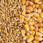 (Photo courtesy Canada Beef Inc.)
