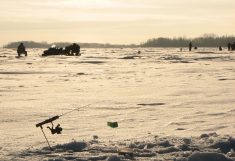 A frozen lake has its own austere beauty. 