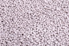 ... sanctions came so quickly that farmers couldn’t pivot and buy fertilizers from another source.