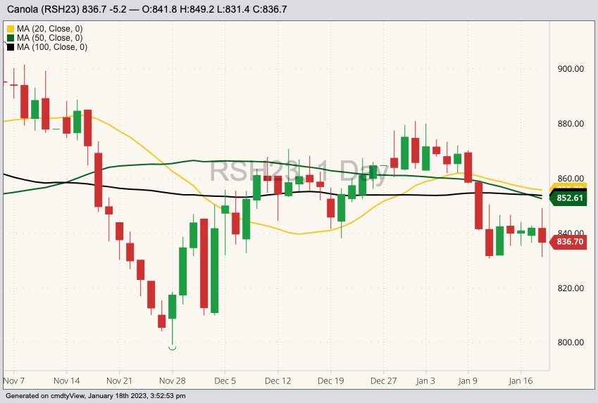 ICE March 2023 canola with 20-, 50- and 100-day moving averages. (Barchart)

