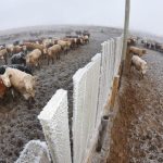 (WPohlDesign/iStock/Getty Images)
