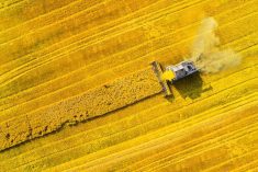 File photo of a combine at work during a harvest in Germany. (Abadonian/iStock/Getty Images)
