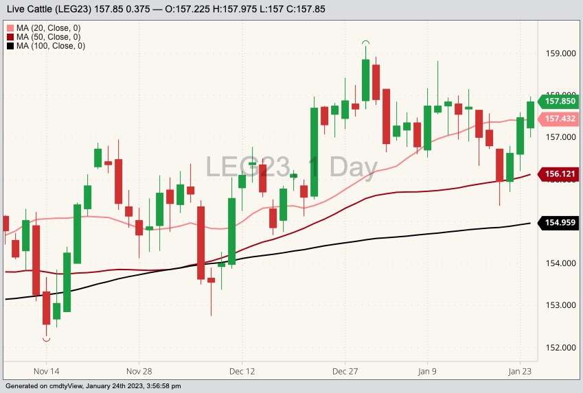 CME February 2023 live cattle with 20-, 50- and 100-day moving averages. (Barchart)
