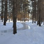 Winter visitors to Wasagaming can glide down skating paths.