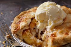 (Lauri Patterson/E+/Getty Images)
