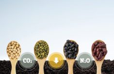 Crops capable of fixing their own N from the atmosphere avoid the issue of nitrous oxide emissions altogether.