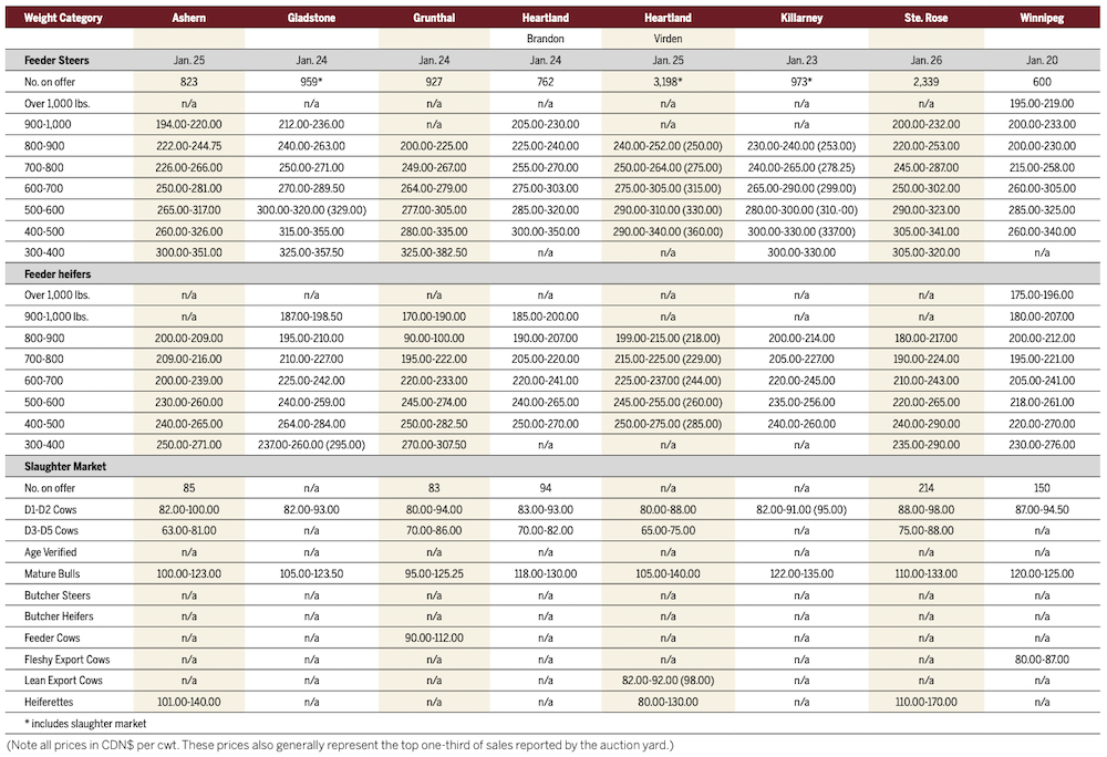 Cattle numbers, and some prices, rise