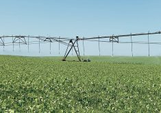 Manitoba potato growers say they’ve reached the limit of existing irrigation licenses.