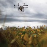 Brazil’s soybean crop this year is expected to more than offset any drought-reduced yields in neighbouring Argentina.