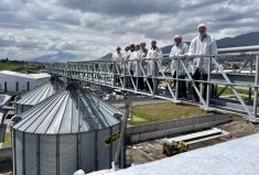 Sheila elder (third from right) visits a flour mill in Ecuador with members of the Latin America new crop mission. The mill uses almost exclusively Canadian wheat, Elder said.
