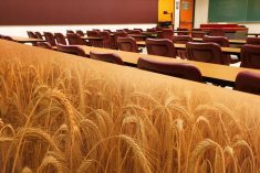 Assiniboine Community College, EMILI join forces to improve digital skills