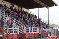 The Canadian Association of Fairs and Exhibitions is promoting its workshops aimed at educating organizers on better animal care at public events.