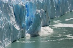 Arctic warming has led to greater weather variability in recent years, says a retired professor and agrometeorology specialist.