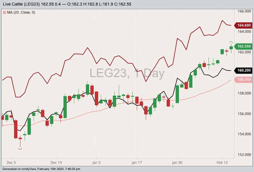 CME February 2023 live cattle with 20-day moving average and April (dark red line) and June (black line) 2023 live cattle. (Barchart)
