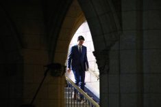 After seven-plus years in office, it’s time to assess the degree to which Trudeau’s rhetoric has been matched with action.