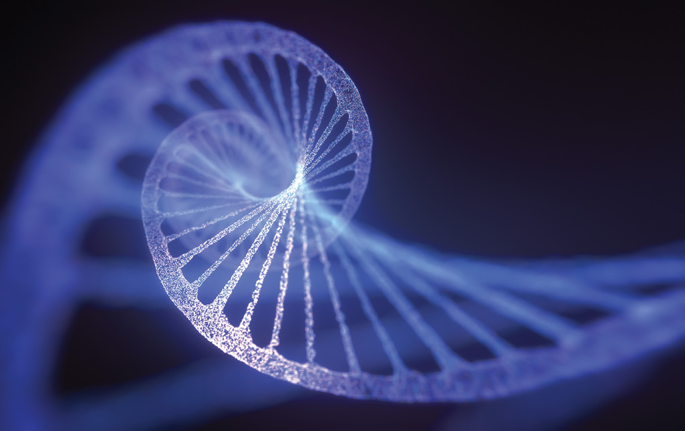 “... we can use RNAi technologies as a solution to improve global food security.” – Mark Belmonte, University of Manitoba.