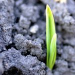 A handful of soil health projects have secured funding for the next five years in the hope of kick-starting soil health practices in the field.