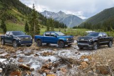 Exterior views of (l-r) the 2023 Chevrolet Silverado 1500 High Country, ZR2 and LT. (Media.chevrolet.com)