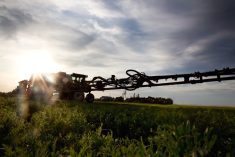 U.S. gives farmers shorter window to spray dicamba