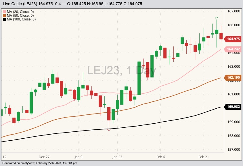 CME April 2023 live cattle with 20-, 50- and 100-day moving averages. (Barchart)
