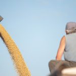 A worker watches harvested soybeans  being loaded off a field  at Firmat in Argentina’s Santa Fe province in 2021. Recent but variable rains have eased drought concerns for Argentina’s recently planted soy crops.