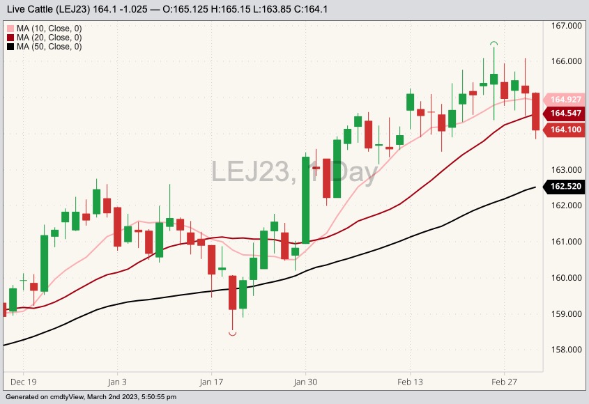CME April 2023 live cattle with 10-, 20- and 50-day moving averages. (Barchart)
