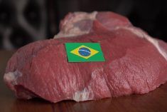 (Fevziie Ryman/iStock/Getty Images)
