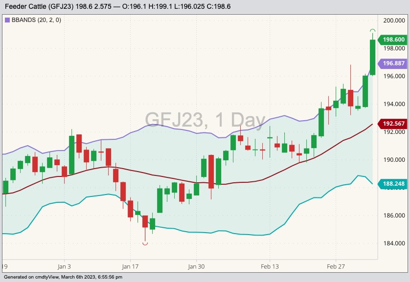 CME April 2023 feeder cattle with Bollinger bands (20,2). (Barchart)
