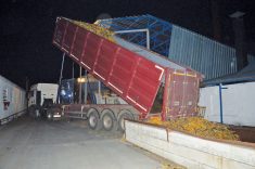 Despite the challenges caused by the war, Bernatsky got the corn crop off.