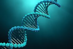 Gene editing can literally rewrite DNA.