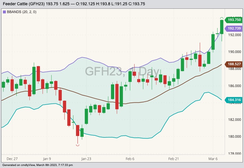 CME March 2023 feeder cattle with Bollinger bands (20,2). (Barchart)

