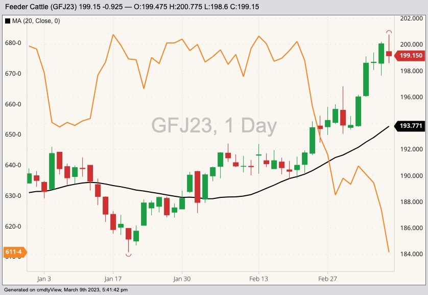 CME April 2023 feeder cattle with 20-day moving average (black line, right column) and CBOT May 2023 corn (orange line, left column). (Barchart)
