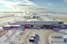 McCain Foods’ french fry processing plant near Coaldale, Alta. (University of Lethbridge video screengrab via YouTube)