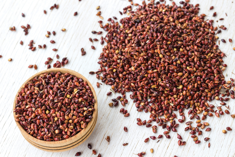 People have been eating the crop for millennia, but in Western Canada, food grain millet is just getting its feet underneath it and there are plenty of hurdles yet to clear.