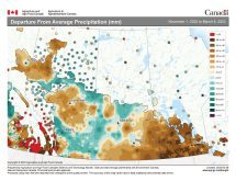 With the official extended winter season (November to March) drawing to a close, it’s a good time to look at the departure-from-average precipitation so far (Nov. 1 to March 6). It has been a very dry winter across agricultural Manitoba, with dry conditions extending into the southeastern half of agricultural Saskatchewan. Alberta has had a mixed bag of precipitation, with far northern regions and north-central regions seeing below average and the remaining regions, along with northwestern Saskatchewan, reporting above-average amounts.