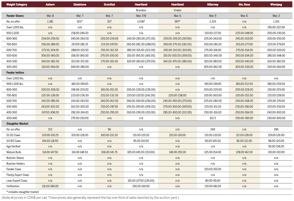 Cattle prices strong as U.S. futures break records